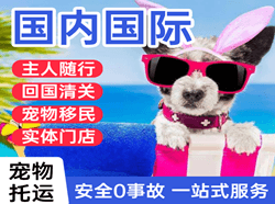 黔南荔波机场快递国际宠物托运 【国